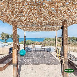 Beige / Brown OR GREEN Variation Net 4x6m