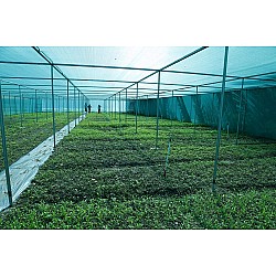 Shade net for Tomatoes and Vegetables, 25% shade, 30gr, 0.5€ + VAT per square meter.