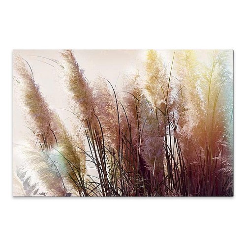 Πίνακας σε καμβά Soft Pampas Megapap ψηφιακής εκτύπωσης 90x60x3εκ.,Διακόσμηση > Πίνακες,Διακόσμηση Πίνακας σε καμβά Soft Pampas Megapap ψηφιακής εκτύπωσης 90x60x3εκ.,Διακόσμηση > Πίνακες,Διακόσμηση