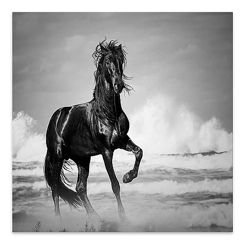 Πίνακας σε καμβά Black Horse Megapap ψηφιακής εκτύπωσης 60x60x3εκ.,Διακόσμηση > Πίνακες,Διακόσμηση Πίνακας σε καμβά Black Horse Megapap ψηφιακής εκτύπωσης 60x60x3εκ.,Διακόσμηση > Πίνακες,Διακόσμηση