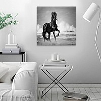 Πίνακας σε καμβά Black Horse Megapap ψηφιακής εκτύπωσης 60x60x3εκ.,Διακόσμηση > Πίνακες,Διακόσμηση Πίνακας σε καμβά Black Horse Megapap ψηφιακής εκτύπωσης 60x60x3εκ.,Διακόσμηση > Πίνακες,Διακόσμηση