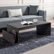 Τραπεζάκι σαλονιού Regnar Megapap χρώμα rebab 100,6x55x31,8εκ. 