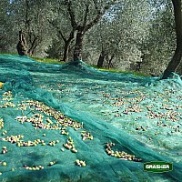 Ελαιόδιχτο Με Κρίκους 90gr/m²