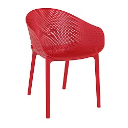 SKY RED(Σ4)ΠΟΛΥΘΡΟΝΑ ΠΟΛ/ΝΙΟΥ SKY RED(Σ4)ΠΟΛΥΘΡΟΝΑ ΠΟΛ/ΝΙΟΥ