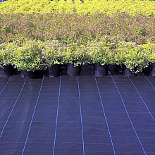 Ground cover fabric 100gr / m2, Dimensions 1X5 m 